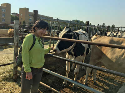 ぷにたんの画像